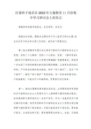 区委班子成员在2023年主题教育11月份集中学习研讨会上的发言.docx