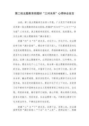 第二批主题教育把握好“三对关系”心得体会发言.docx