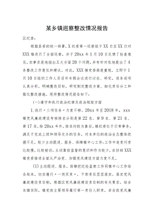 某乡镇巡察整改情况报告.docx