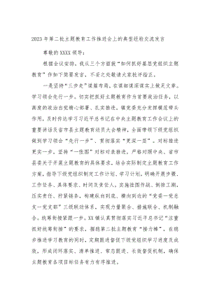 2023年第二批主题教育工作推进会上的典型经验交流发言.docx