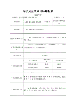 专项资金绩效目标申报表.docx