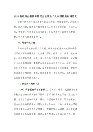 2023县政府办巡察专题民主生活会个人对照检查材料范文.docx