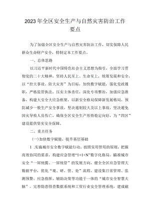 2023年全区安全生产与自然灾害防治工作要点.docx
