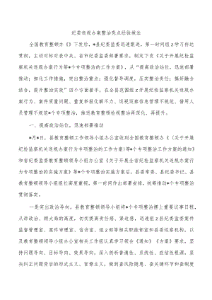 纪委违规办案整治亮点经验做法.docx