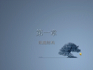 细胞结构.ppt