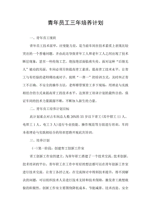青年员工三年培养计划.docx