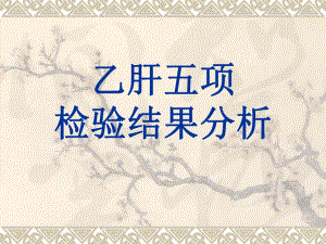 乙肝五项检验结果分析.ppt