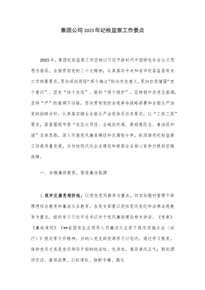 集团公司2023年纪检监察工作要点.docx
