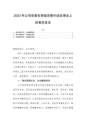 2023年公司党委在常规巡察约谈反馈会上的表态发言.docx