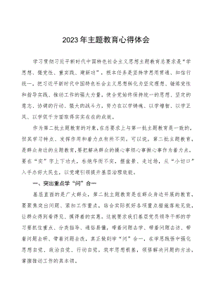 2023年街道办事处主任关于第二批主题教育学习心得体会九篇.docx