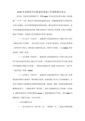 XXXX年党组织书记抓基层党建工作述职报告范文.docx