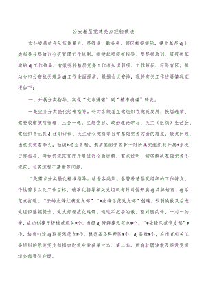 公安基层党建亮点经验做法.docx