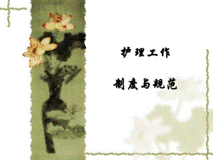 护理工作制度与规范培训.ppt