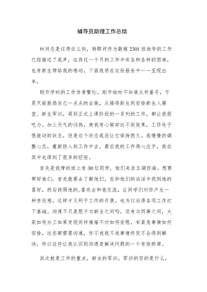 辅导员助理工作总结.docx
