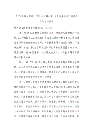 在XX乡镇（街道）2023年主题教育11月份集中学习研讨会上的总结讲话 .docx