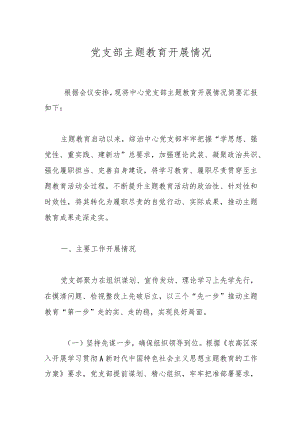党支部主题教育开展情况.docx