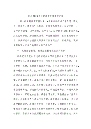 某县2023年主题教育开展情况汇报 .docx