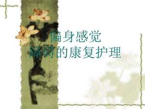 偏身感觉障碍的康复护理.ppt