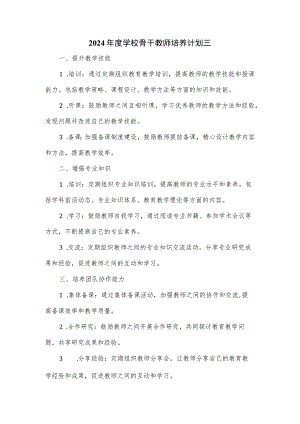 2024年度学校骨干教师培养计划三.docx