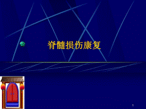 脊髓损伤的康复.ppt