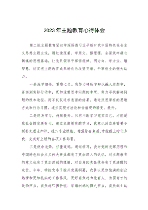 (十篇)教师党员关于第二批主题教育的学习感悟.docx