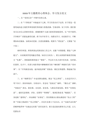 XXXX年主题教育心得体会、学习发言范文.docx