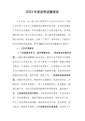 2023年度述责述廉报告.docx