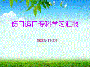 伤口造口学习汇报.ppt