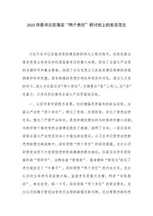 2023市委书记在落实“两个责任”研讨班上的发言范文.docx