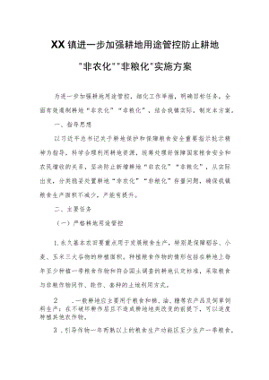 XX镇进一步加强耕地用途管控防止耕地“非农化”“非粮化”实施方案.docx