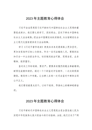 2023年司法干警关于第二批主题教育的学习感悟(五篇).docx