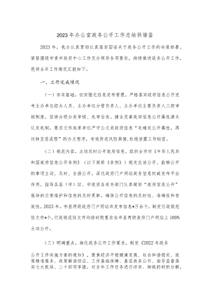 2023年办公室政务公开工作总结供借鉴.docx