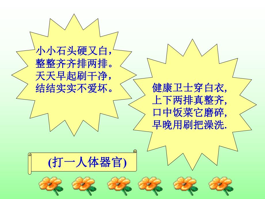 【中小学健康教育课件】我们的牙齿PPT.ppt_第1页