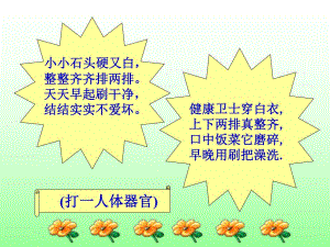 【中小学健康教育课件】我们的牙齿PPT.ppt