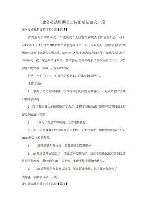 业务员试用期员工转正总结范文十篇.docx