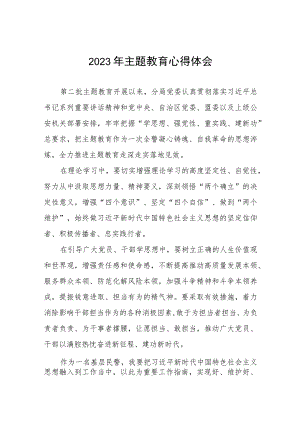 公安民警第二批主题教育学习心得体会十篇.docx