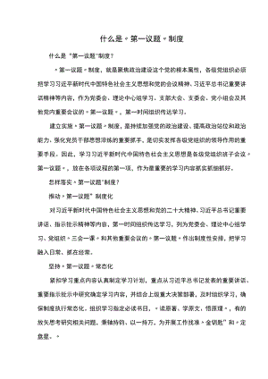 什么是“第一议题”制度全文.docx