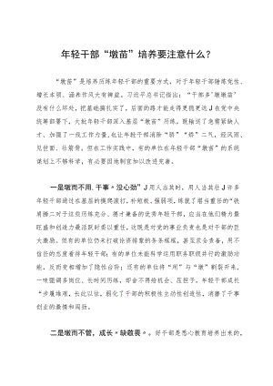 在年轻干部队伍建设专题研讨会上的发言.docx