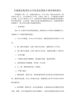 乡镇推进集团化办学促进质量提升调查调研报告.docx