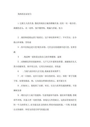 狗狗的语录短句.docx