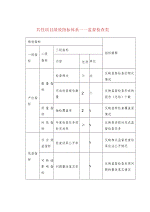 共性项目绩效指标体系——监督检查类.docx