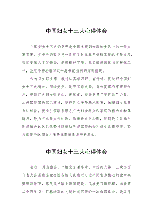中国妇女第十三次全国代表大会的心得体会三十三篇.docx
