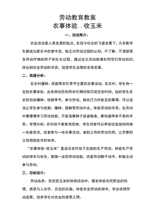 劳动教育教案-农事体验--收玉米.docx