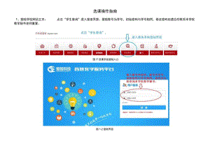 选课操作指南.docx