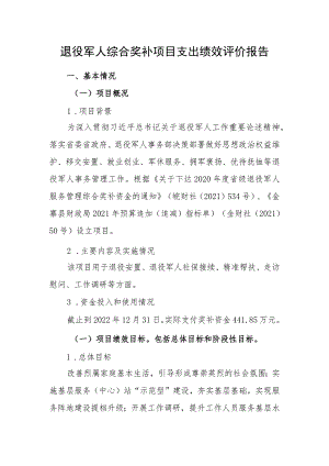 退役军人综合奖补项目支出绩效评价报告.docx