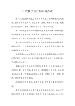 行政执法责任制实施办法.docx