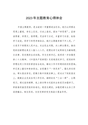 村长2023年第二批主题教育学习心得体会(五篇).docx