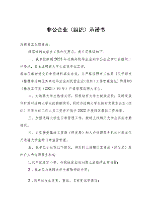 非公企业组织承诺书.docx