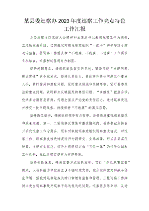 某县委巡察办2023年度巡察工作亮点特色工作汇报.docx