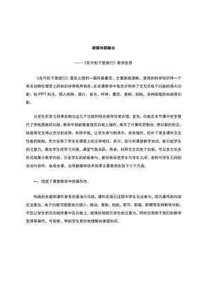 《新媒体-新融合-——在牛肚子里旅行》.docx